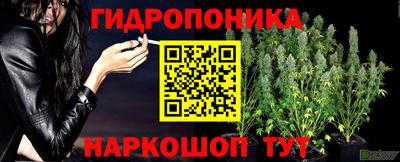 прущий лед Ставрополь