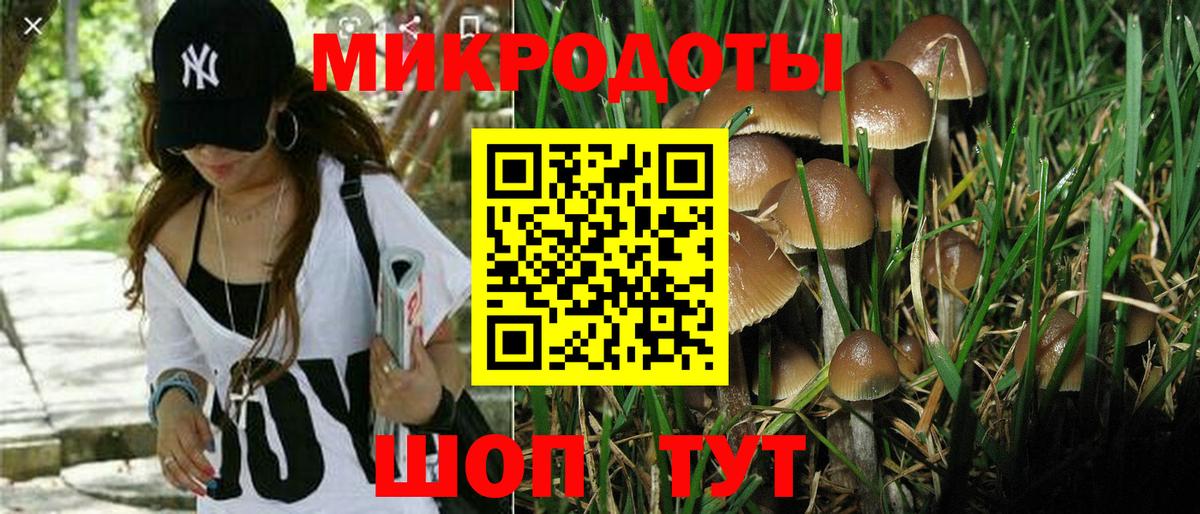 Галлюциногенные грибы GOLDEN TEACHER  где купить наркоту  Магнитогорск  Вход с VPN 